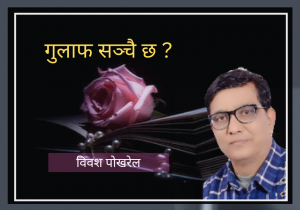 गुलाफ सञ्चै छ ?