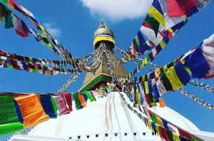 शान्तिका अग्रदूतको सम्झनामा विशेष कार्यक्रम