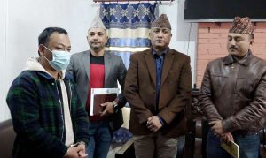 युरोप पठाइदिने भन्दै ६ सय व्यक्तिलाई ठगी