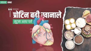 बढी प्रोटिन : मुटुलाई असर