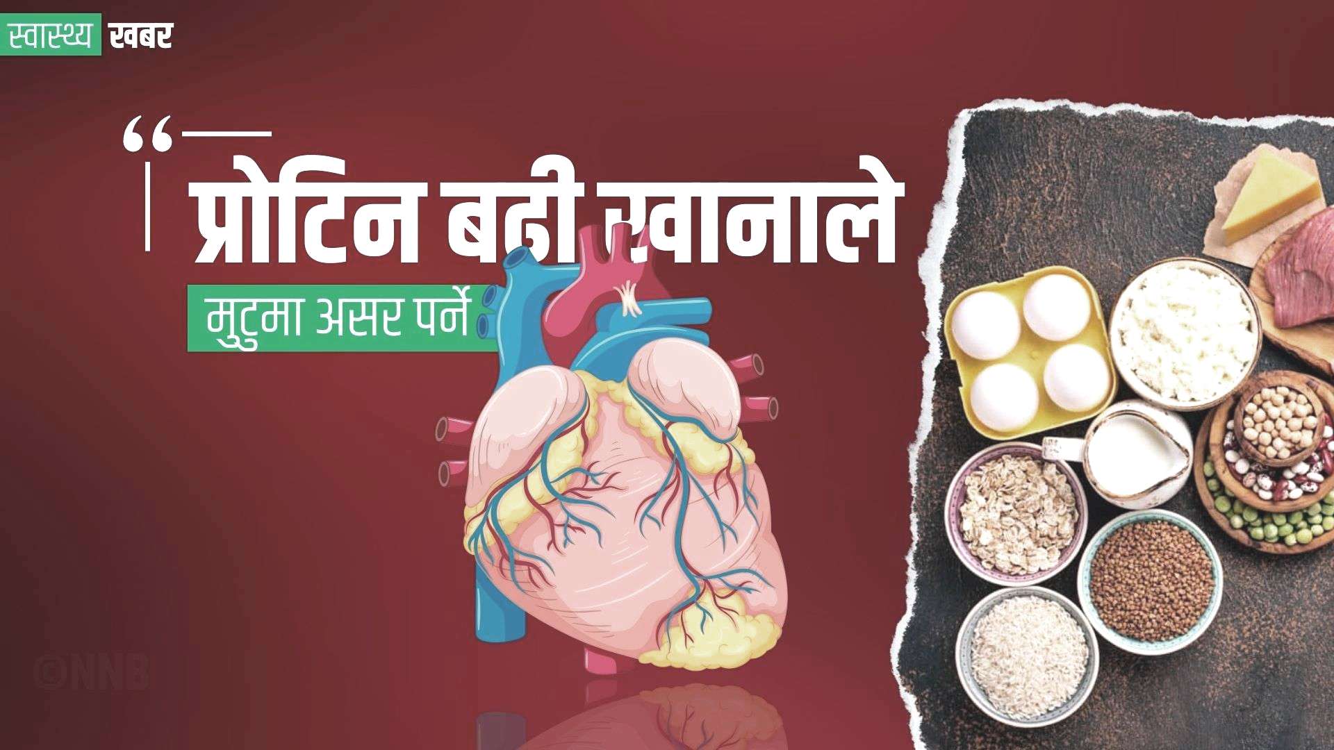 बढी प्रोटिन : मुटुलाई असर