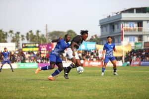 आयोजक टिम झापा गोल्डकपको सेमिफाइनलमा