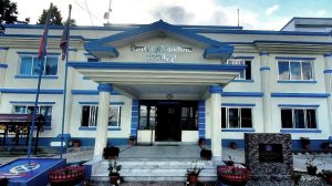 रोएर दिक्क लगाएको भन्दै विष खुवाएर दुई महिने छोराको हत्या