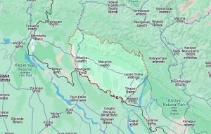 जापानिज इन्सेफलाइटिस सङ्क्रमणबाट कैलालीमा दुई जनाको मृत्यु