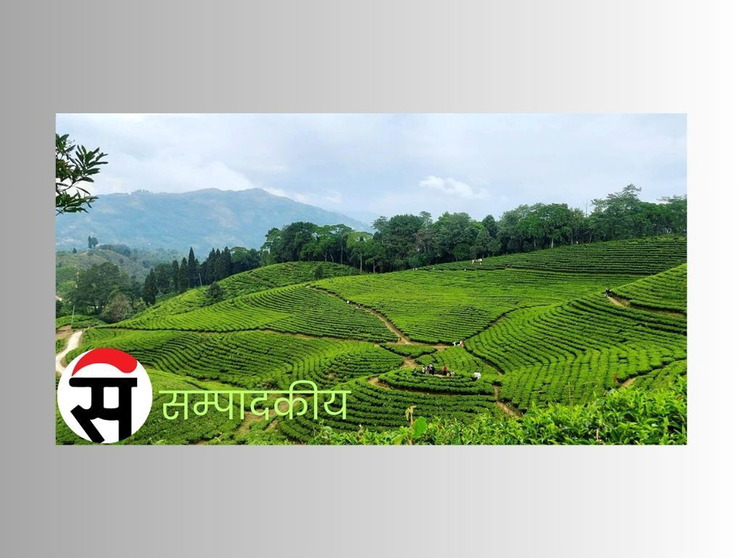 गफले मात्र बन्छ देश आत्मनिर्भर ?