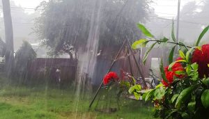 बिहानैदेखि वर्षा, साँझसम्म जारी रहने