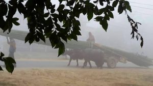 अझै केही दिन तराईमा बाक्लो हुस्सु र कुहिरो