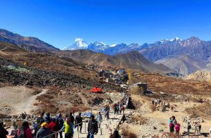 कोशीका मुख्य पर्यटकीय क्षेत्रमा पदमार्ग बनाइँदै