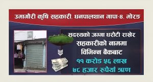 लेखा समिति सभापति पोखरेलकी श्रीमतीसहित २२ जनाविरुद्ध ठगी मुद्दा