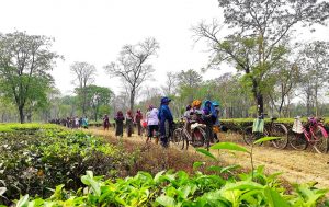 चिया निर्यातमा भारतको पुनः अवरोध