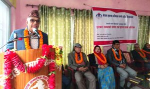 तीन साहित्यिक पुरस्कार स्थापना