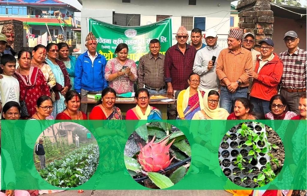 प्रभावकारी बन्दै ‘विषादीमुक्त भान्सा अभियान’