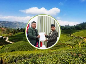 चिया निर्यातमा देखिएको समस्या हटाउन पहल गर्छु : प्रधानमन्त्री