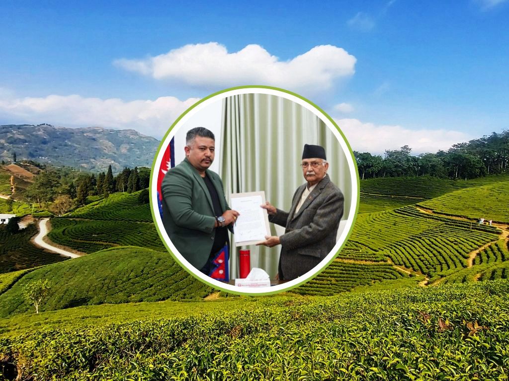 चिया निर्यातमा देखिएको समस्या हटाउन पहल गर्छु : प्रधानमन्त्री