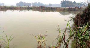 ६ महिने छोरीसहित पोखरीमा हामफालिन् महिला