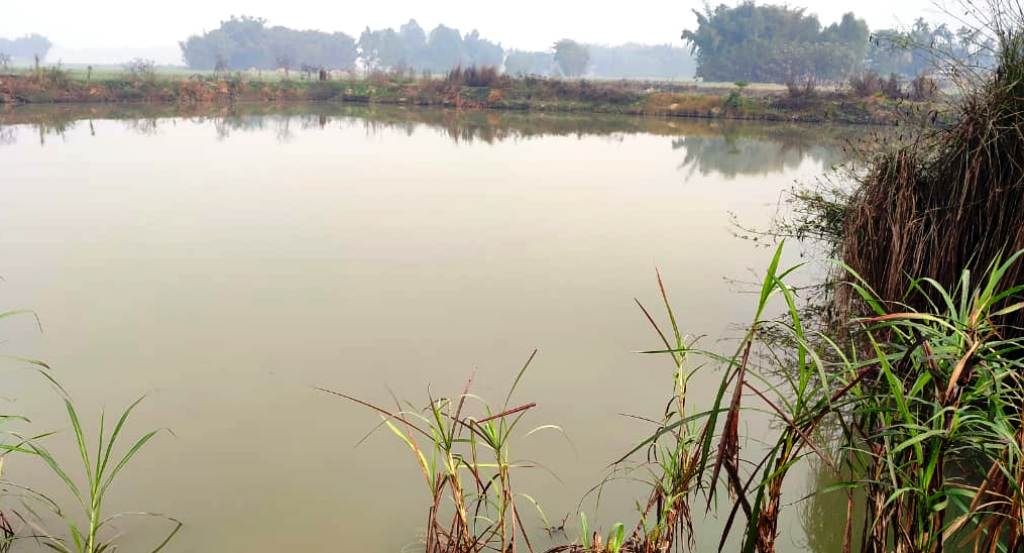 ६ महिने छोरीसहित पोखरीमा हामफालिन् महिला