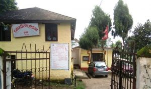 बालिका बलात्कारका अभियुक्तलाई १२ वर्ष जेल सजाय