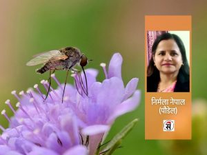 प्रीत बनोस् जीवन