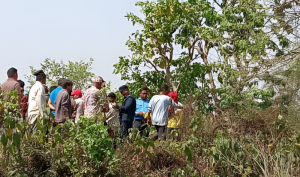 एउटै डोरीमा झुण्डिएको अवस्थामा मृत भेटिए युवायुवती