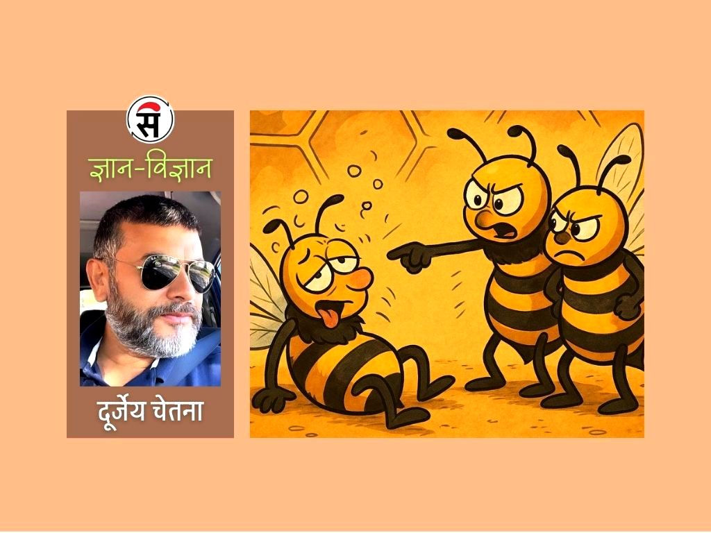 माहुरीको घारमा ‘मृत्युदण्ड’ को नियम