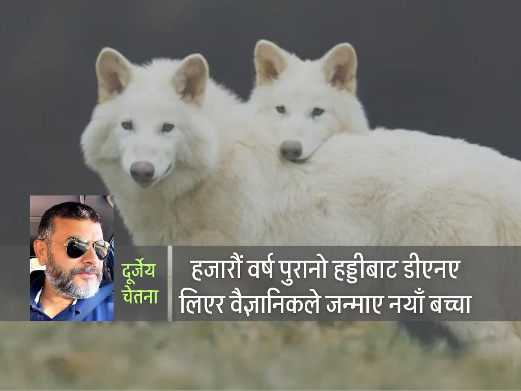 १० हजार वर्षअघि हराएका ब्वाँसोको फेरि जन्म