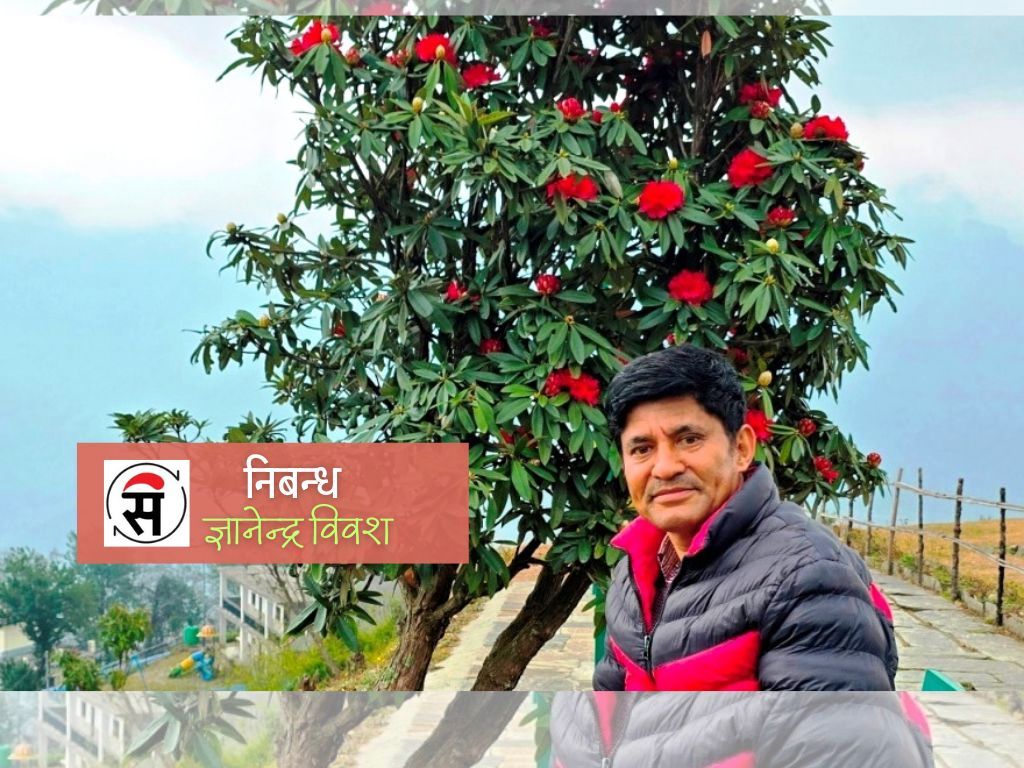 फूलहरू जीवनका रङहरू