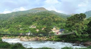 सभापोखरीका खोलामा करेन्ट लगाएर माछा मारे १ लाख जरिवाना