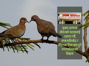 उत्कृष्ट दम्पतीलाई ‘ढुकुर जोडी’ सम्मान
