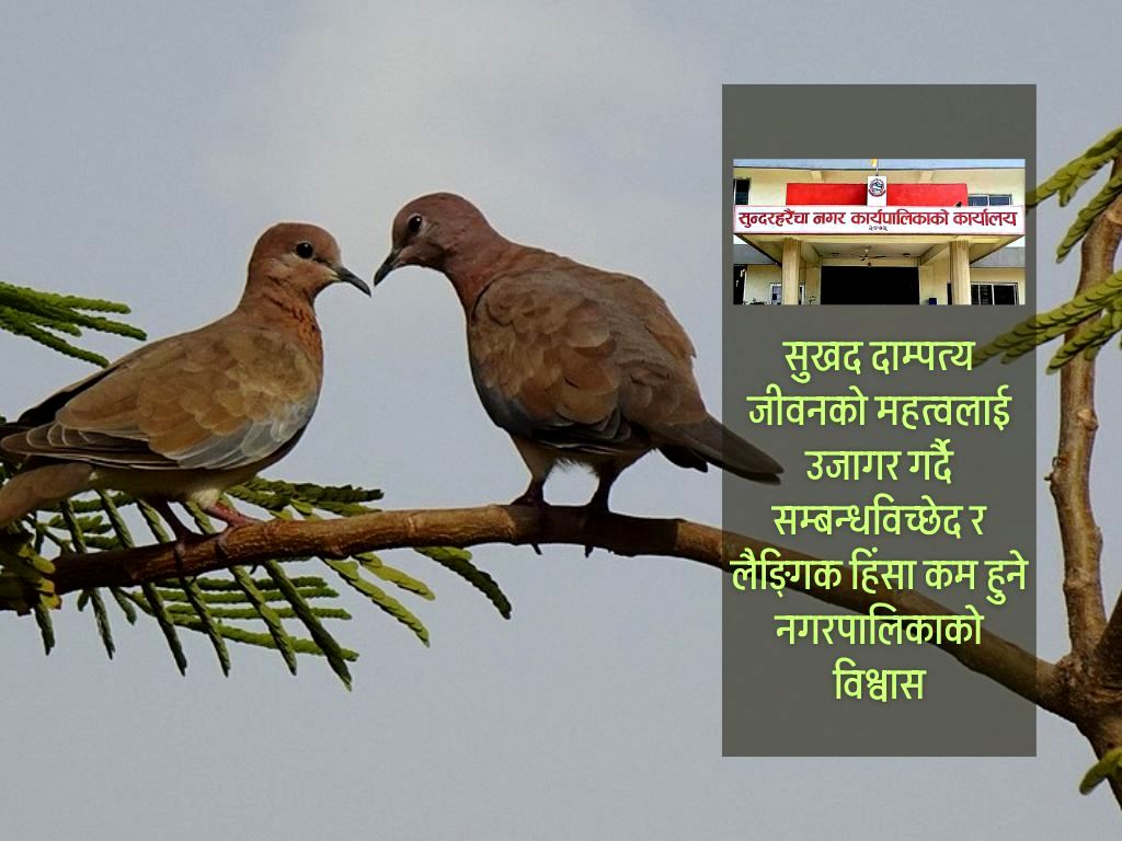 उत्कृष्ट दम्पतीलाई ‘ढुकुर जोडी’ सम्मान