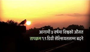तापक्रम बढेको बढ्यै