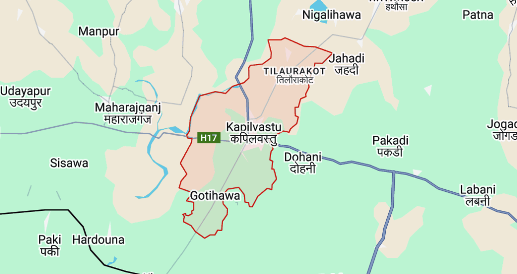 खाना पकाउने ग्यासबाट आगलागी, दिदीभाइको मृत्यु