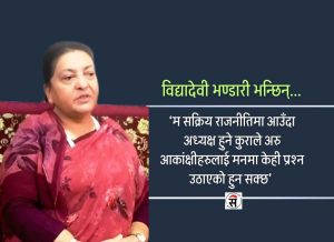 ‘देशभित्र घुम्न मैले पार्टी वा नेताको अनुमति लिनु पर्दैन’