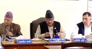 शिक्षा विधेयकका अधिकांश विषयमा सहमति, समिति बैठक ३ बजे बस्ने