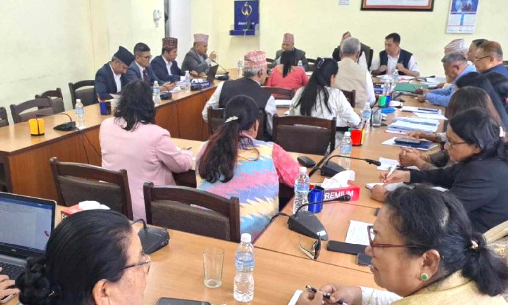 शिक्षा विधेयकः पाठ्यक्रम फेरिँदा शिक्षकहरूले तालिम लिनुपर्ने