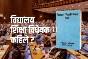 शिक्षा विधेयक : अहिलेसम्म के के विषयमा जुट्यो सहमति ?