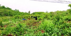 मध्यराति पल्टियो गाडी : दाजुको मृत्यु, भाइ सिकिस्त