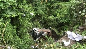त्रिशूली किनारमा खस्यो मिनी ट्रक
