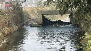 डुबेर २ जना बालकको मृत्यु
