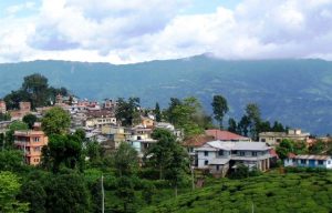पर्यटन प्रवर्द्धन गर्न ‘मिनी मेला’