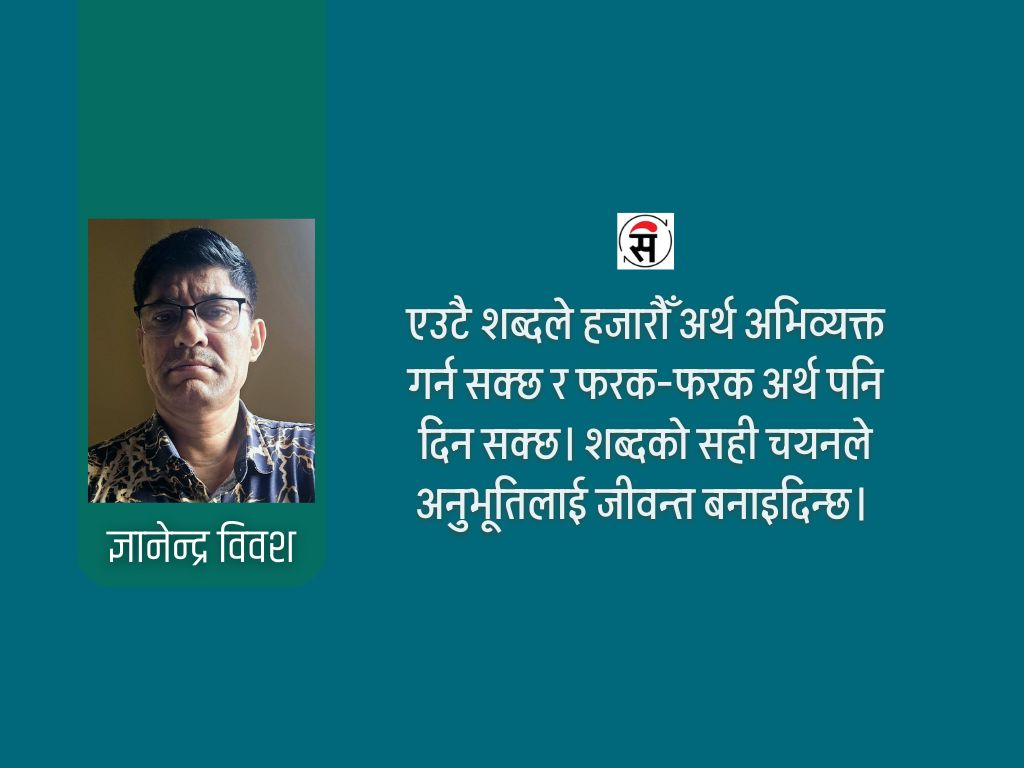 शब्दको खोजी : अन्तहीन यात्रा