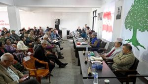 कांग्रेस निर्वाचनमा जाने : ‘जेन-जी’ को माग सम्बोधन चुनावबाटै’