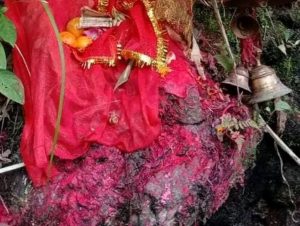 तोरीबारीको भगवती दिव्य धाममा श्रद्धालुको आकर्षण