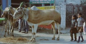 चिसो बढ्यो: विशेष सतर्कता अपनाउन