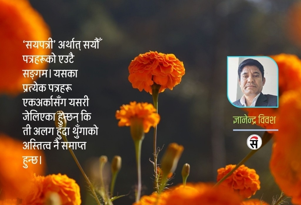 सौन्दर्यको सयपत्री