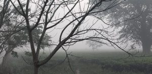 बाक्लो हुस्सु कहिलेसम्म ?