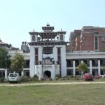 प्रतिनिधिसभा १०५ सदस्यीय बनाउन सुझाव