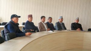 एमालेले सरकारी दमनको प्रतिवाद गर्ने
