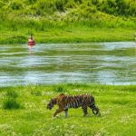 बर्दियाले सिकाएको सहअस्तित्वको पाठ
